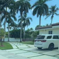 Stamped Concrete Driveway (2)